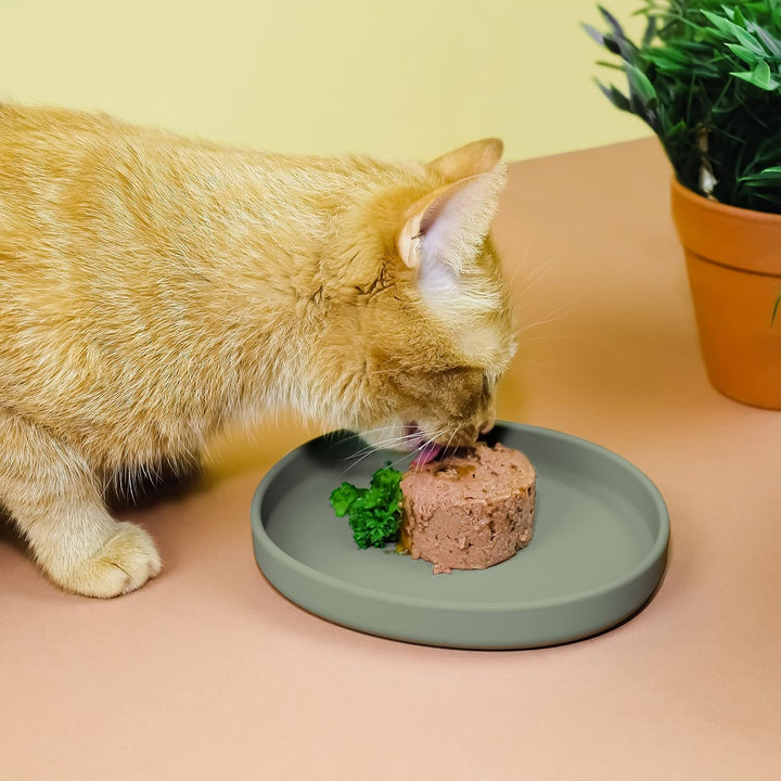 ne&no Futternapf für Katzen [nala Collection] - Flache Futterschale | Silikonnapf Breit | Fressnapf