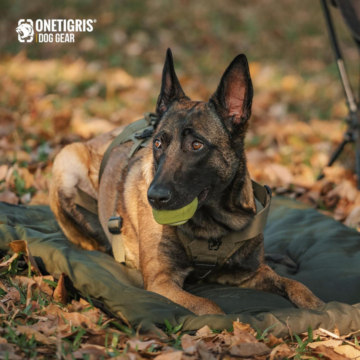 OneTigris Hundedecke 130 x 85cm Waschbares, Hundematte Komfort und Weiches Wasserdichtes Hundebett,
