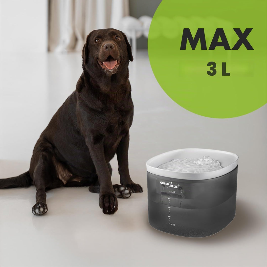 Green Blue Automatischer Wasserspender für Haustiere | Trinkbrunnen für Hunde und Katzen | 3L Fassun