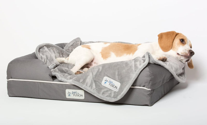 PetFusion Premium Plus Haustierdecke, gesteppt, Verschiedene Grössen für Hunde und Katzen., Small (3