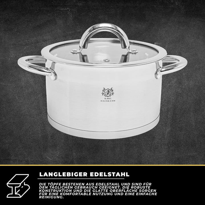 Topfset Induktion 4-teilig, Kochtopf Set mit Glasdeckel, Edelstahl mattiert, Induktions Töpfe Set un