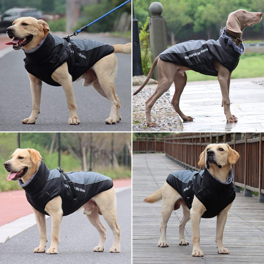 Idepet Hund Mantel Warme Jacke, Reflektierender Haustier-Schneeanzug Sport im Freien wasserdichte Hu