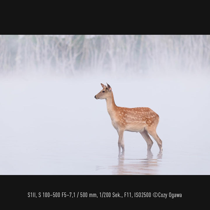 Panasonic LUMIX S-R100500E 100-500 mm F5-7.1 O.I.S. L-Mount Objektiv, Vollformat-Telezoom, 0,8 m Nah