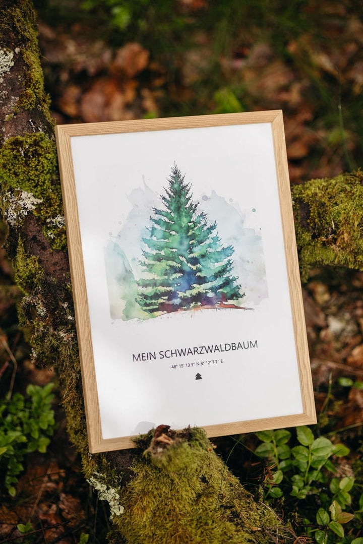 Baumspende & Aquarell 'Tanne Classy' (Druck im Rahmen) | Nachhaltig | Geschenk Geburtstag, Hochzeit,