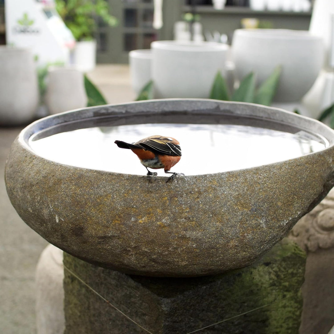 Steintrog Vogeltränke - Tier-Wassernapf aus Naturstein - Handgefertigte Schale - für Vögel, Hunde &