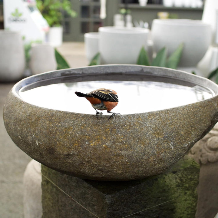Steintrog Vogeltränke - Tier-Wassernapf aus Naturstein - Handgefertigte Schale - für Vögel, Hunde &