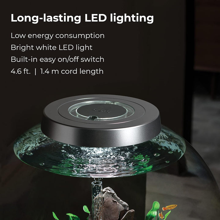biOrb 72012 CLASSIC 60 LED silber - dekoratives Aquarium Komplett-Set mit Filter-System, LED-Beleuch