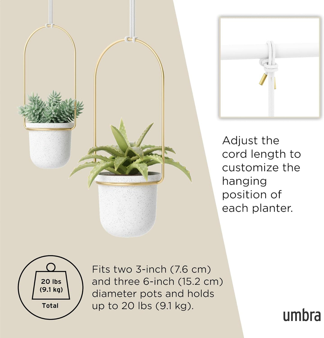 Umbra Triflora Vase, Hängeblumentopf, Wandvase, Blumenampel für Wand- und Deckenanbringung, 5er-Set,