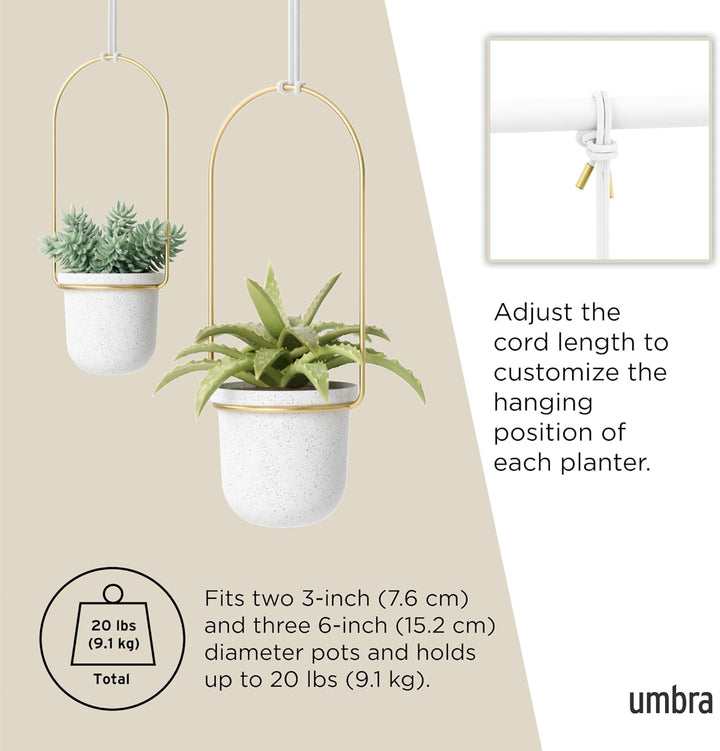 Umbra Triflora Vase, Hängeblumentopf, Wandvase, Blumenampel für Wand- und Deckenanbringung, 5er-Set,