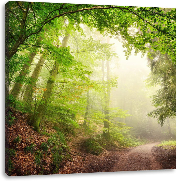 Sonnenstrahlen Waldweg, Format: 70x70 auf Leinwand, XXL riesige Bilder fertig gerahmt mit Keilrahmen