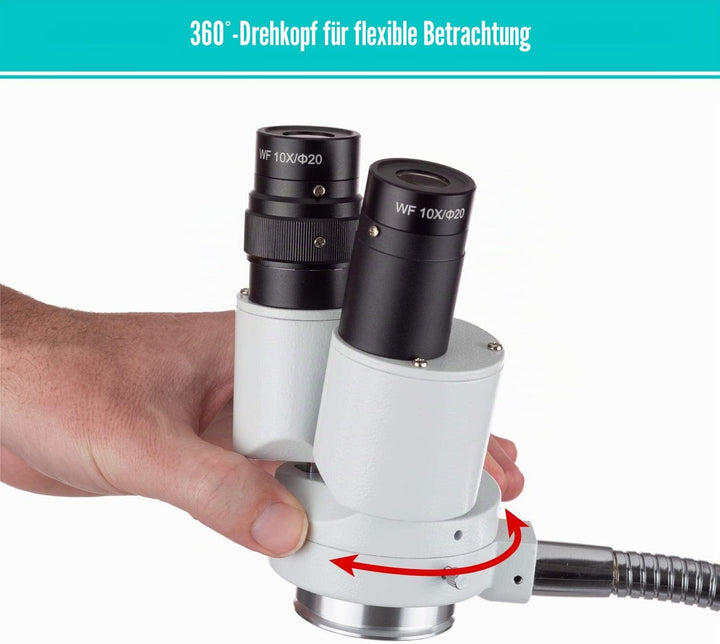 AmScope - Fernglas-Stereo-Mikroskop mit 8-facher Vergrösserung mit 360-Grad-Drehung - Zahnarzt, Labo