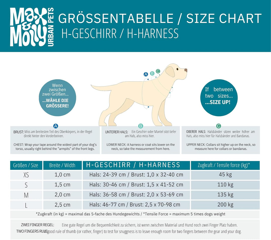 Max &amp; Molly Hundegeschirr in H-Form, Ultrabequemes Geschirr Hund aus Neopren für kleine Hunde, Tropi