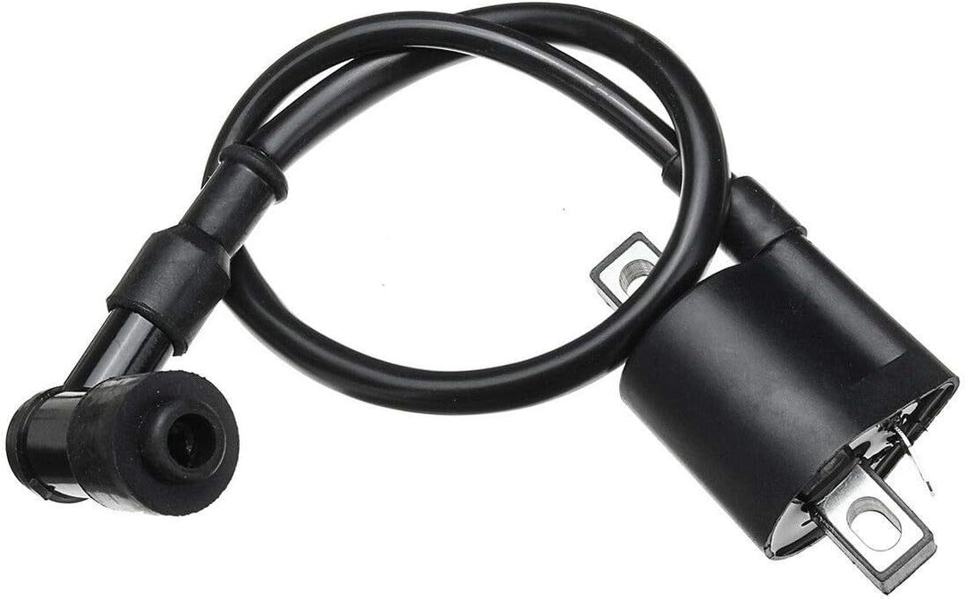 TOTMOX Elektrischer Kabelbaum CDI Stator Komplettsatz für ATV QUAD 150/200/250CC
