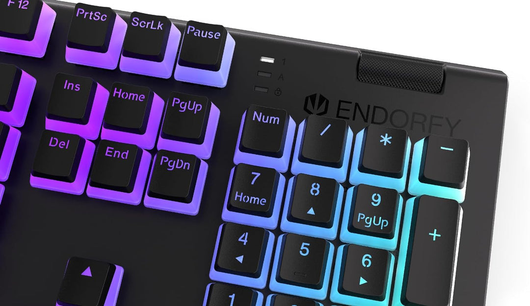 ENDORFY Gaming Keyboard OMNIS PUD KAILH BL RGB Kailh Blue, Kailh Blue