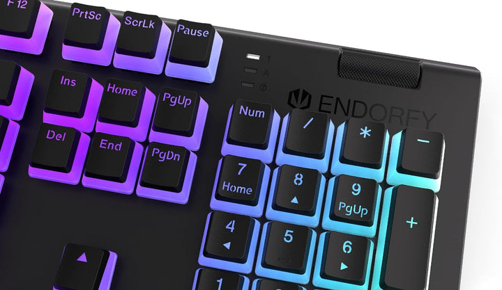 ENDORFY Gaming Keyboard OMNIS PUD KAILH BL RGB Kailh Blue, Kailh Blue
