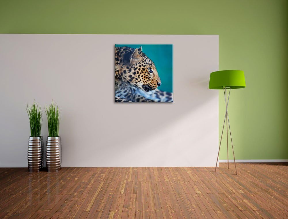Wachsamer Gepard, Format: 70x70 auf Leinwand, XXL riesige Bilder fertig gerahmt mit Keilrahmen, Kuns