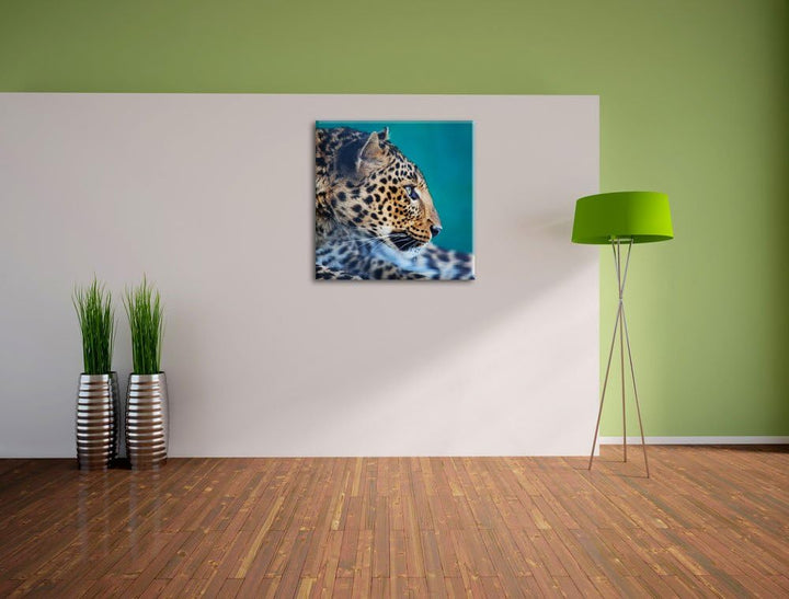 Wachsamer Gepard, Format: 70x70 auf Leinwand, XXL riesige Bilder fertig gerahmt mit Keilrahmen, Kuns