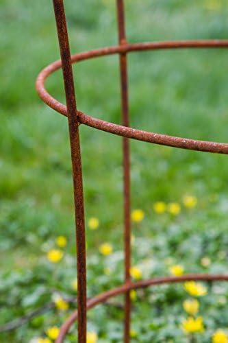 KUHEIGA Stabiler Staudenhalter Rost H: 80cm, Volleisen Strauchhalter, Rankgerüst,