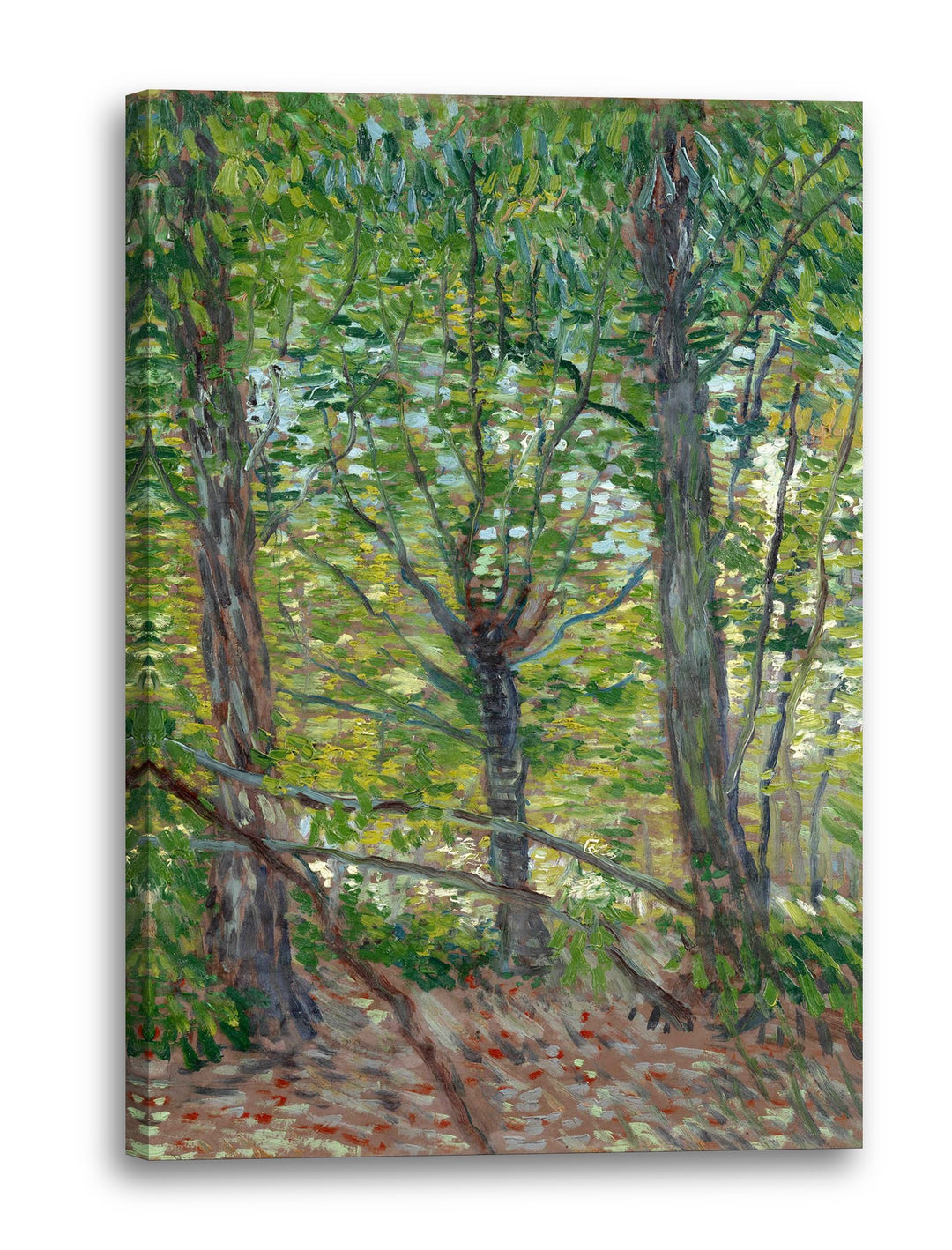 Printed Paintings Leinwand (60x80cm): Vincent Van Gogh - Bäume 60x80 cm, 60x80 cm