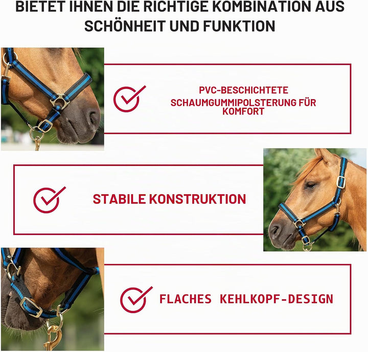 Weaver Leather Basic verstellbares Halfter Türkis Average Horse, Türkis Average Horse