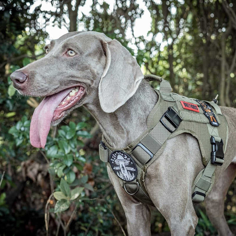 OneTigris Fire Watcher 2.0 Molle Hundegeschirr mit Griff und Schnalle aus Metall L grün, L grün