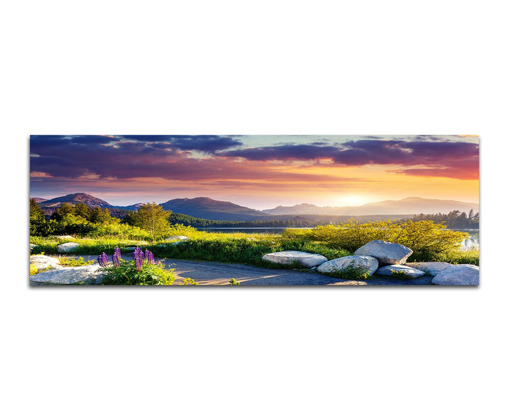 Paul Sinus Art Panoramabild auf Leinwand und Keilrahmen 150x50cm Slowakei Berge Wiesen Steine Weg So