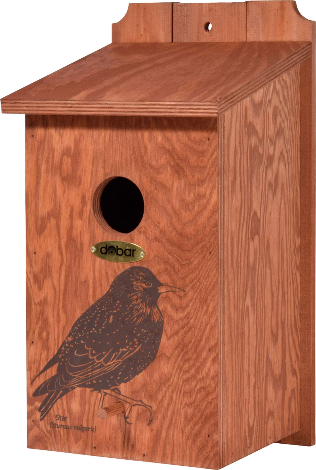 dobar® green label 22362FSCe Nistkasten "Star" - Starenkasten aus Holz - Nisthilfe für Wildvögel - W