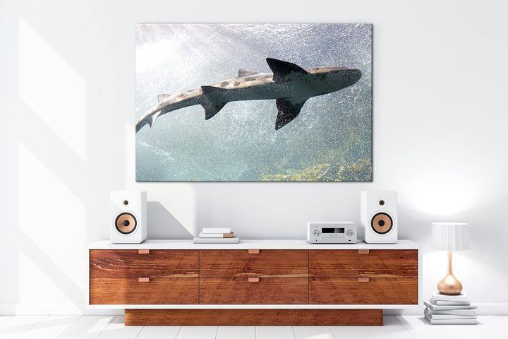 deyoli grosser Hai im Aquarium im Format: 60x40 als Leinwandbild, Motiv fertig gerahmt auf Echtholzr