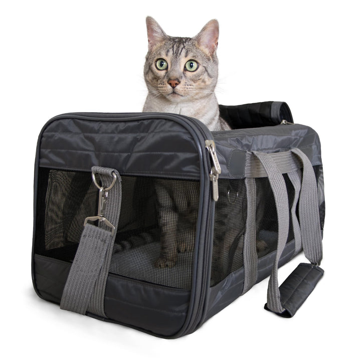Sherpa Travel Transportbox für Haustiere, von Fluggesellschaften zugelassen, Large, anthrazit Large