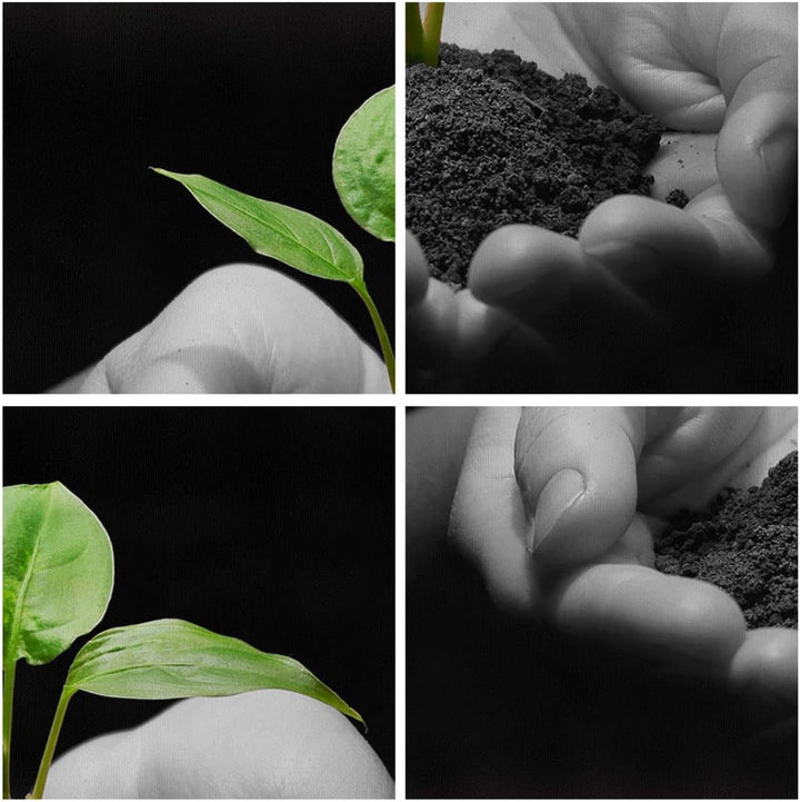 Bilder auf Leinwand Natur Pflanze Wissenschaft Schutz Leinwandbild 70x50cm Wandbilder Dekoration Woh