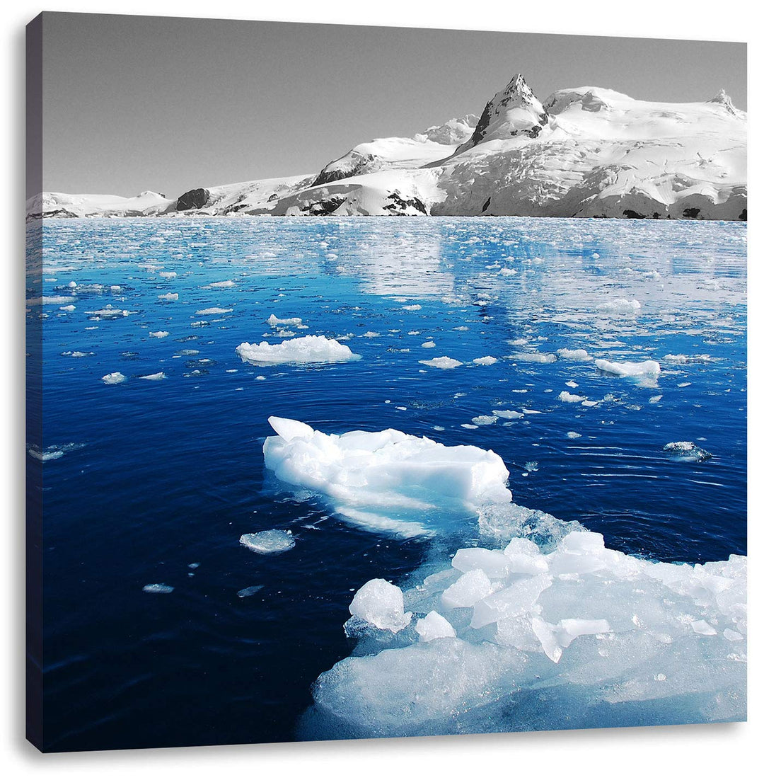 Pixxprint Eisbrocken im blauen Meer der Arktis schwarz/weiss, Format: 70x70 auf Leinwand, 70x70