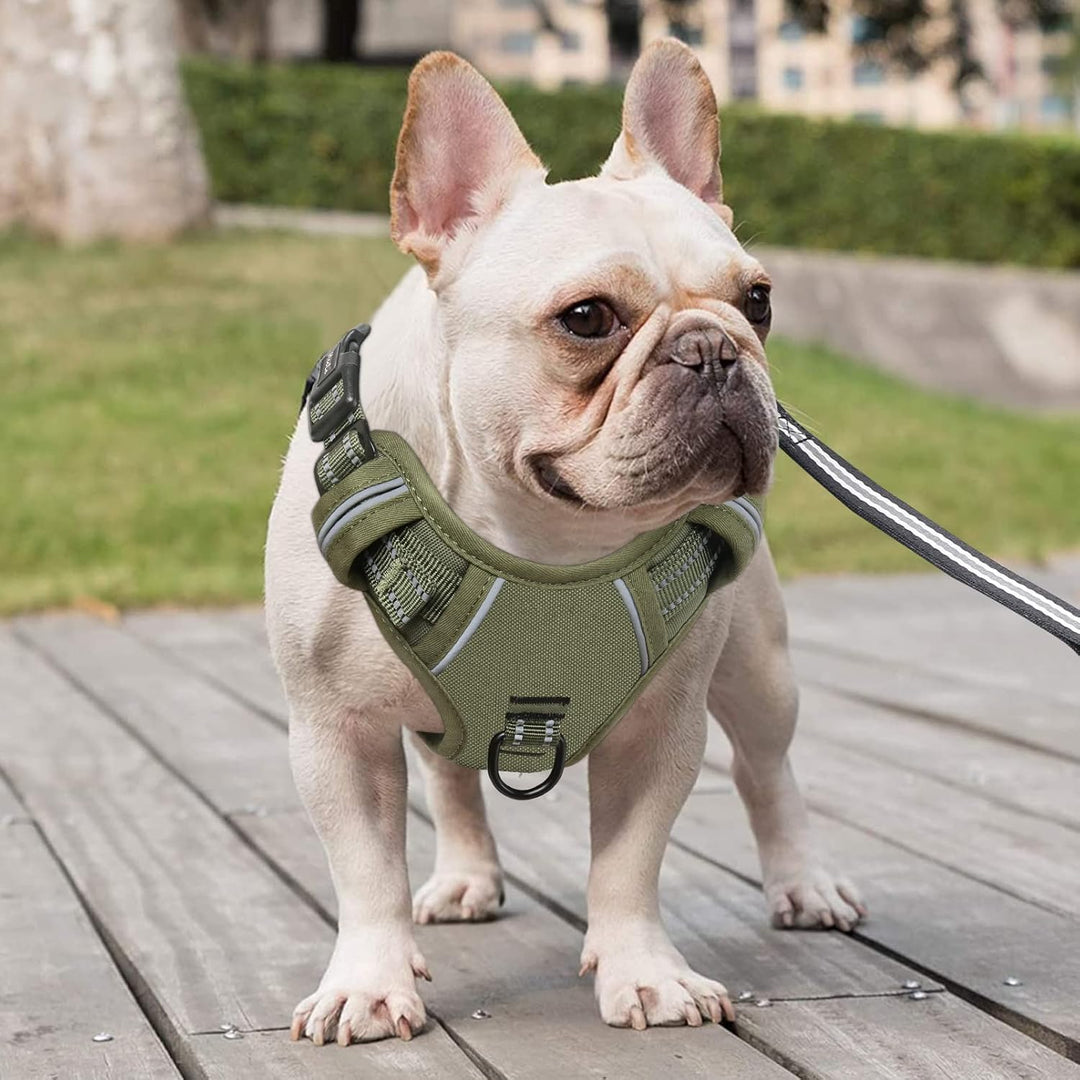 HEELE Hundegeschirr, Hundegeschirr für Mittelgrosse Hunde, Freigabe am Hals, Vorderseite Rückseite C