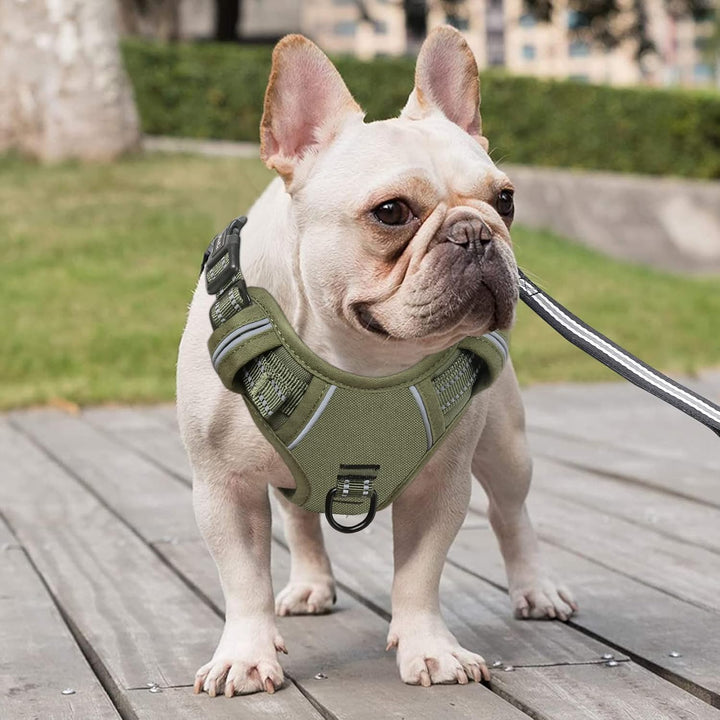 HEELE Hundegeschirr, Hundegeschirr für Mittelgrosse Hunde, Freigabe am Hals, Vorderseite Rückseite C