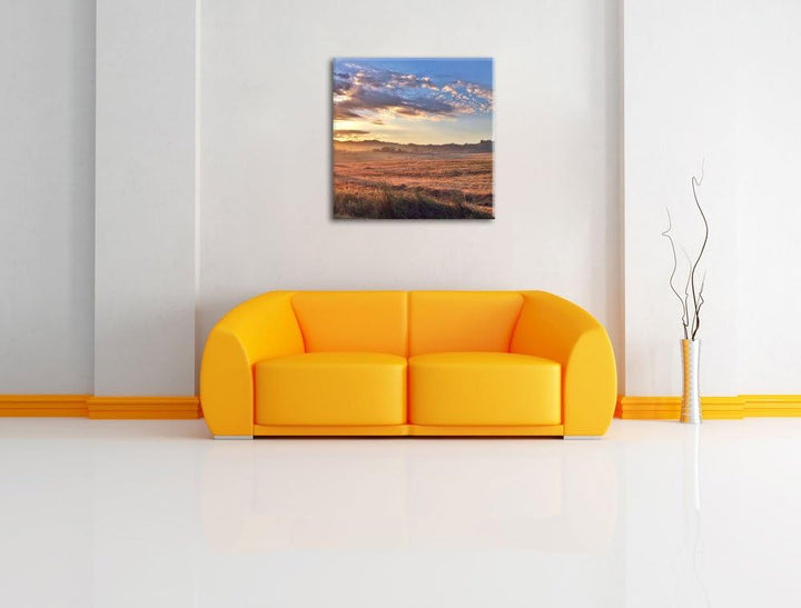 Getreidefeld im Abendlicht, Format: 70x70 auf Leinwand, XXL riesige Bilder fertig gerahmt mit Keilra