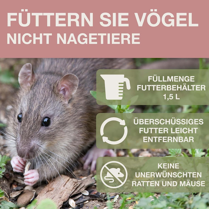 SWISSINNO Vogelfutterhaus zum Aufhängen – Davos SMART Birds - Vogelfutterspender mit Auffangschale -