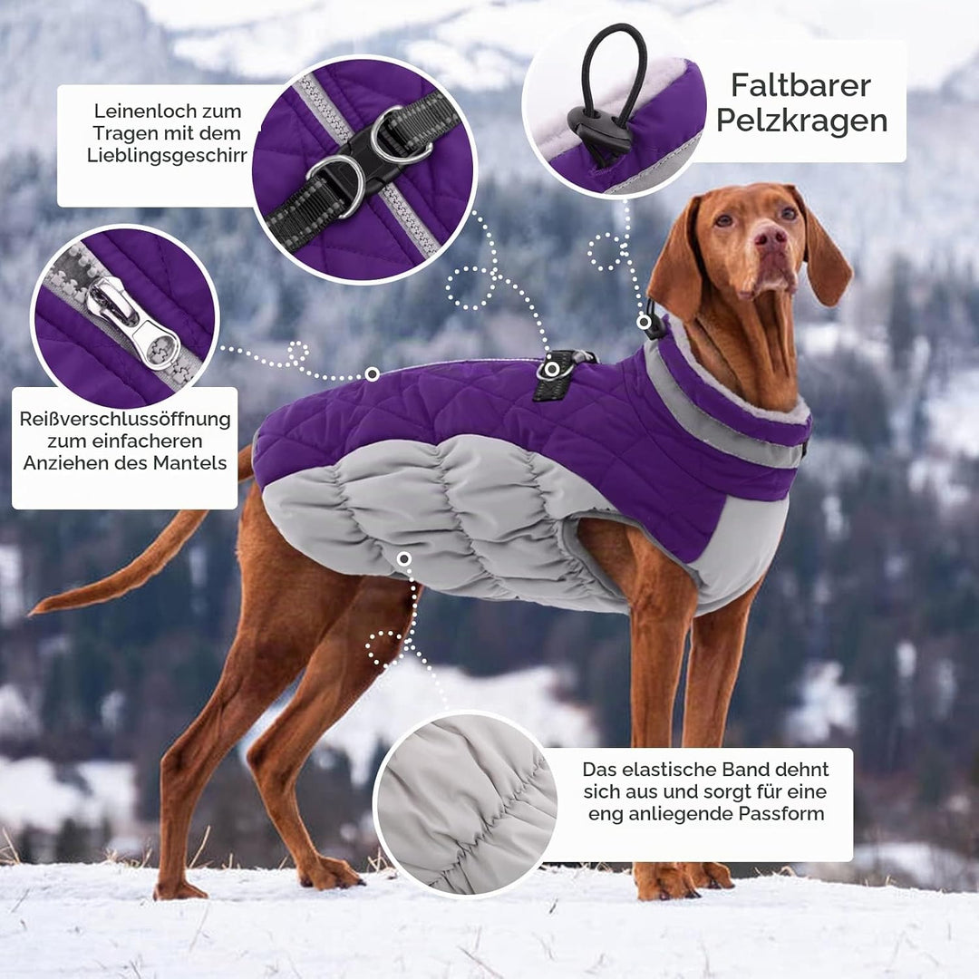 Kuoser Hundejacke Wintermantel für Mittelgrosse Hunde - Wasserdichte Winterweste Mit Geschirr - Warm