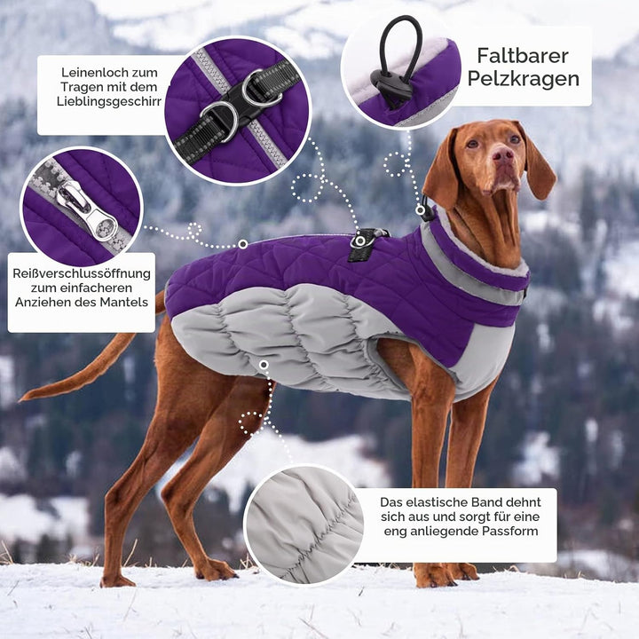 Kuoser Hundejacke Wintermantel für Mittelgrosse Hunde - Wasserdichte Winterweste Mit Geschirr - Warm