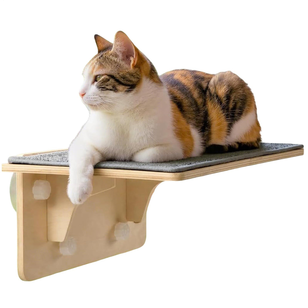 Katzen Sitzplatz | Katzensitz Mit Holz Saugnapf Für Kätzchen,Kletterplatz Am Für Tiere - Für Zuhause