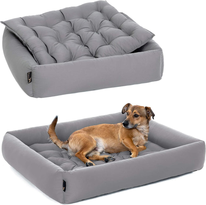 Pointer | Hundebett mit Hundekissen - orthopädisch, waschbar, bequem (M - 70x60 cm, Hellgrau) M - 70