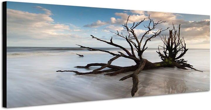 Paul Sinus Art Panoramabild auf Leinwand und Keilrahmen 150x50cm Baum Geäst Nebel Wolken Himmel
