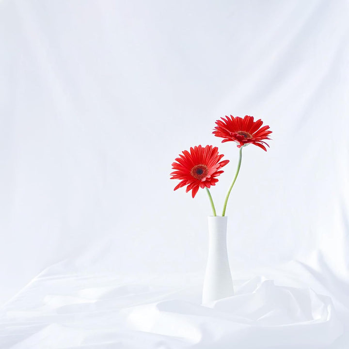 Fotografie-Hintergrund 2 * 3 M, Foto Hintergrund aus 100% Polyester mit 4 grosse Studio Klemmen & 4
