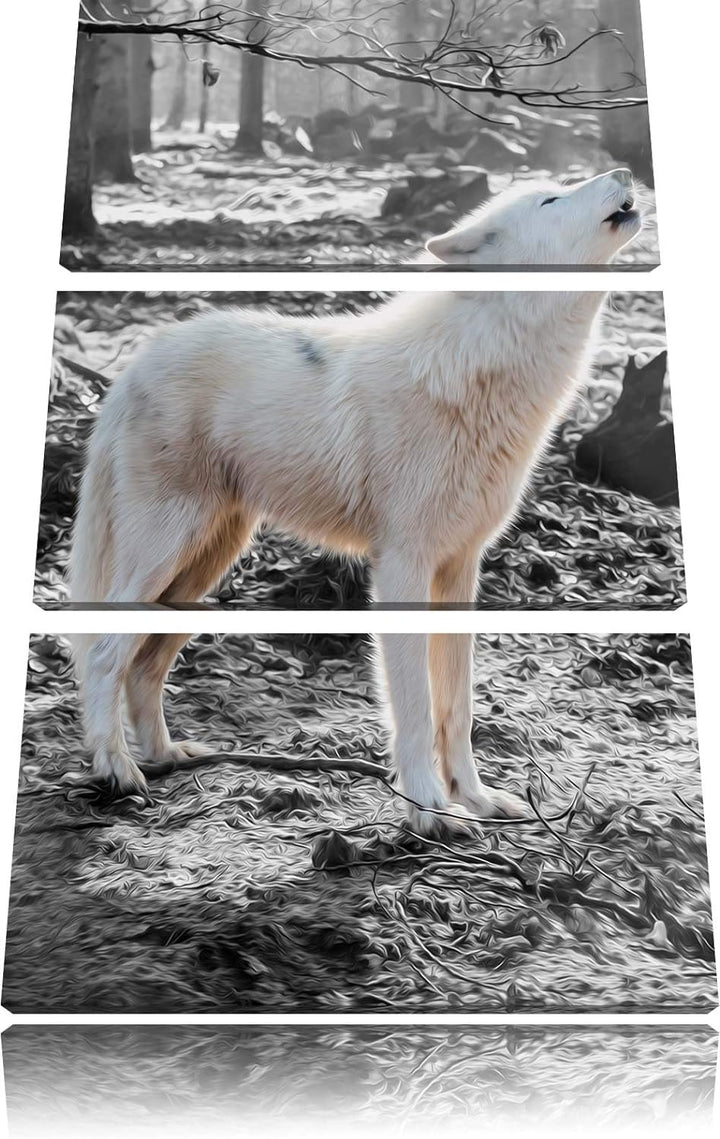 weisser jaulender Wolf im Wald schwarz/weiss 3-Teiler Leinwandbild 120x80 Bild auf Leinwand, XXL rie