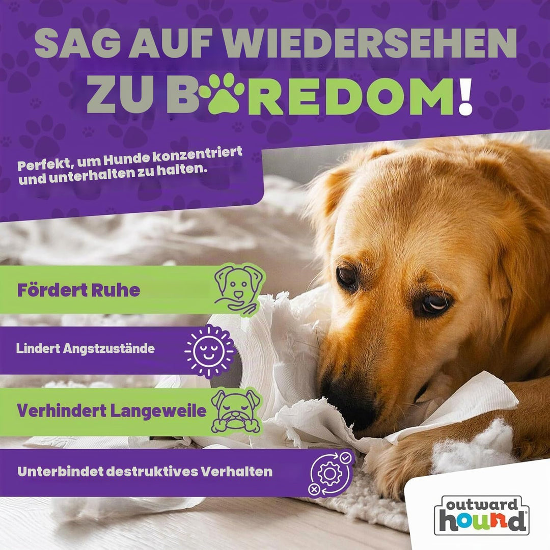 Outward Hound Nina Ottosson Dog Casino - Interaktives Hundespielzeug für Leckerlis - Fortgeschritten
