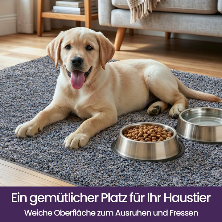 DEXI Schmutzfangmatte,rutschfeste Fussmatte für Innen und Aussen,Waschbar Eingangsteppich Saugstarke