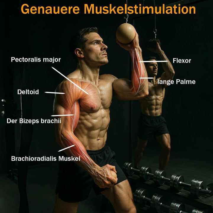 Griffbälle für Klimmzüge，Holz Klimmzugbälle，Trainingsset mit Klettergriffen，Armkrafttrainer，Griffkra