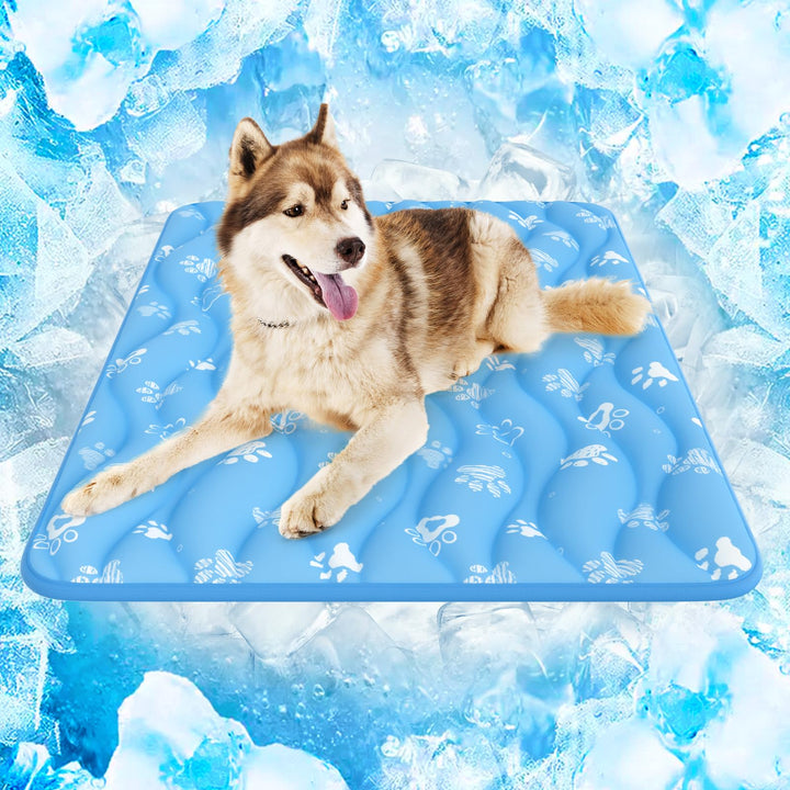 Rywell Kühlmatte für Hunde und Katzen, 90x70 cm, feuchtigkeitsableitend, mit Farbwechsel &amp; selbstküh