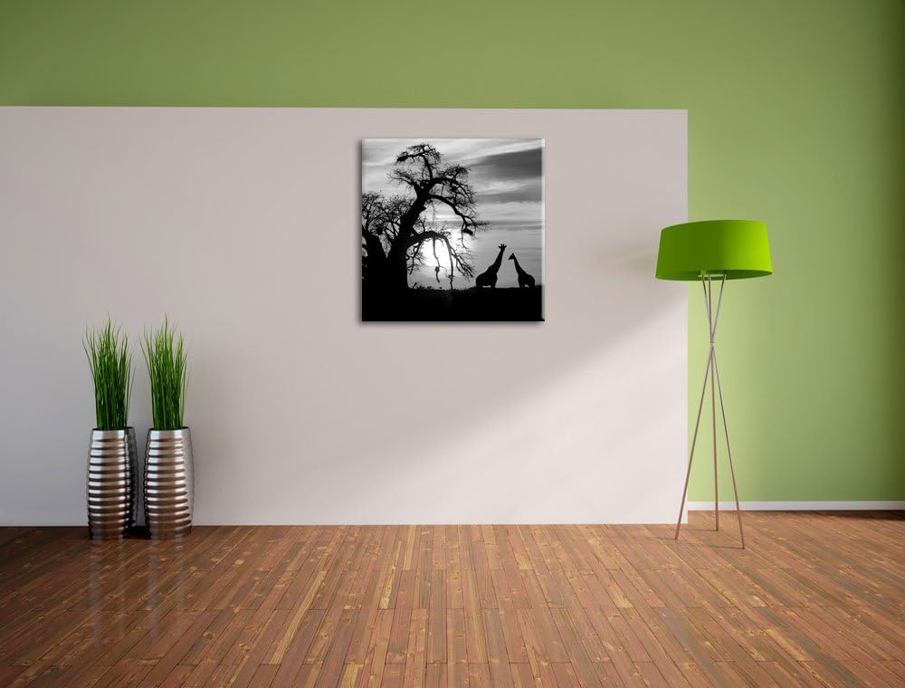 Pixxprint Zwei Giraffen in der Wüste Schwarz/Weiss, Format: 70x70 auf Leinwand, 70x70