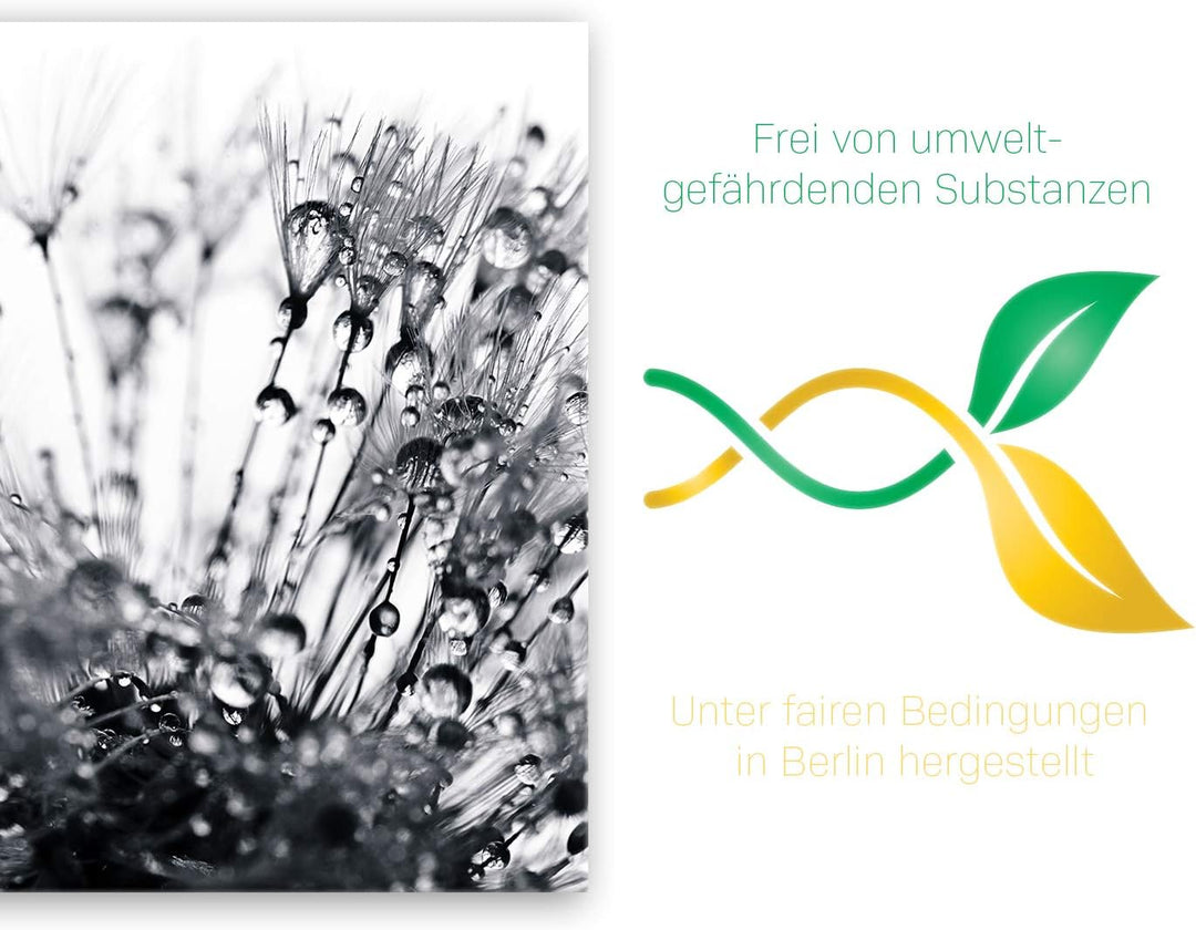 ge Bildet Bild auf Leinwand | Pflanzen-Bilder another world - schwarz weiss H in 70x50 cm als Wandbi