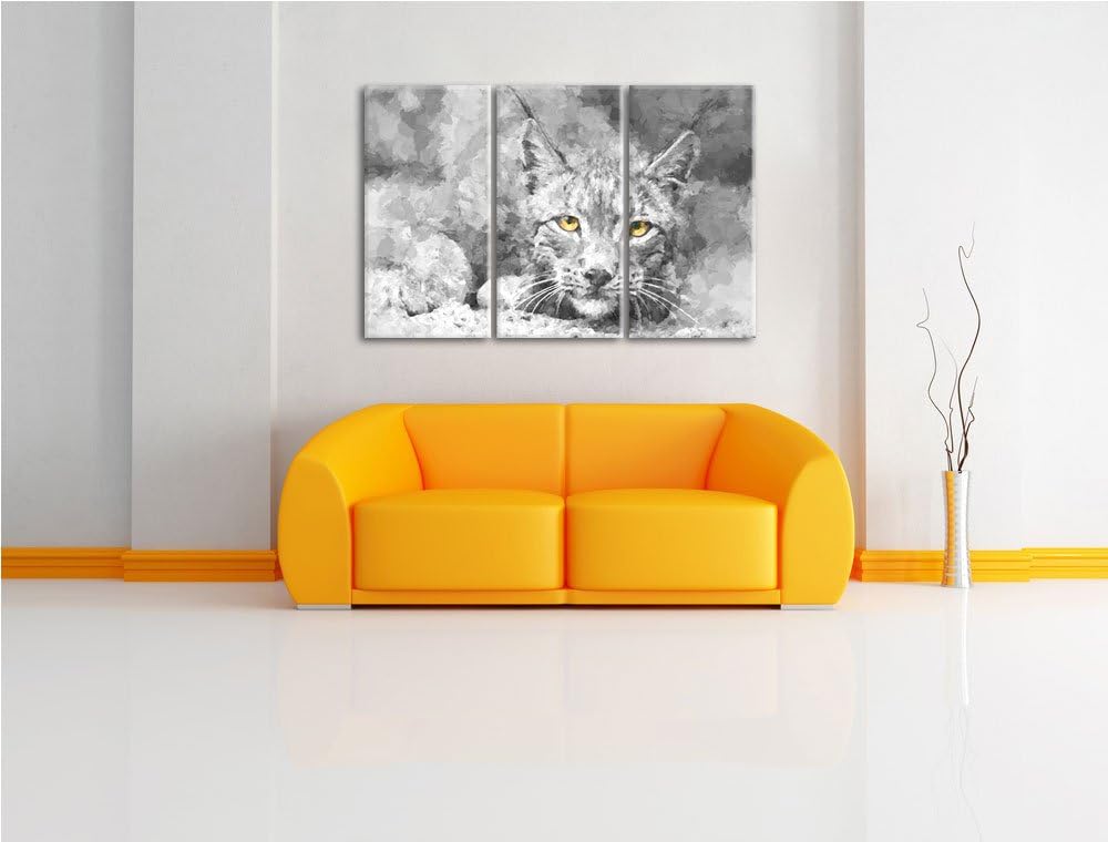 schöner wachsamer Luchs schwarz/weiss Deluxe 3-Teiler Leinwandbild 120x80 Bild auf Leinwand, XXL rie