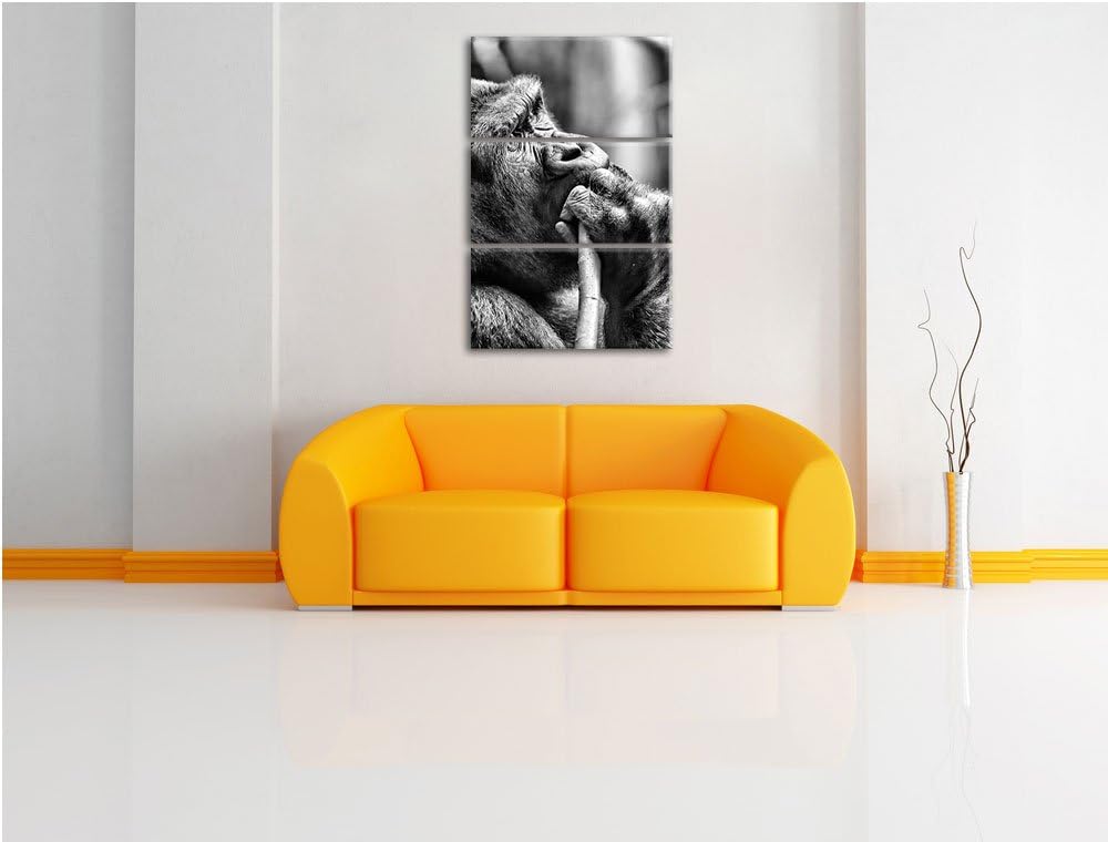 Pixxprint Gorilla isst als Leinwandbild/Grösse: 3 Teilig (120x80) cm/Wandbild/Kunstdruck/fertig besp